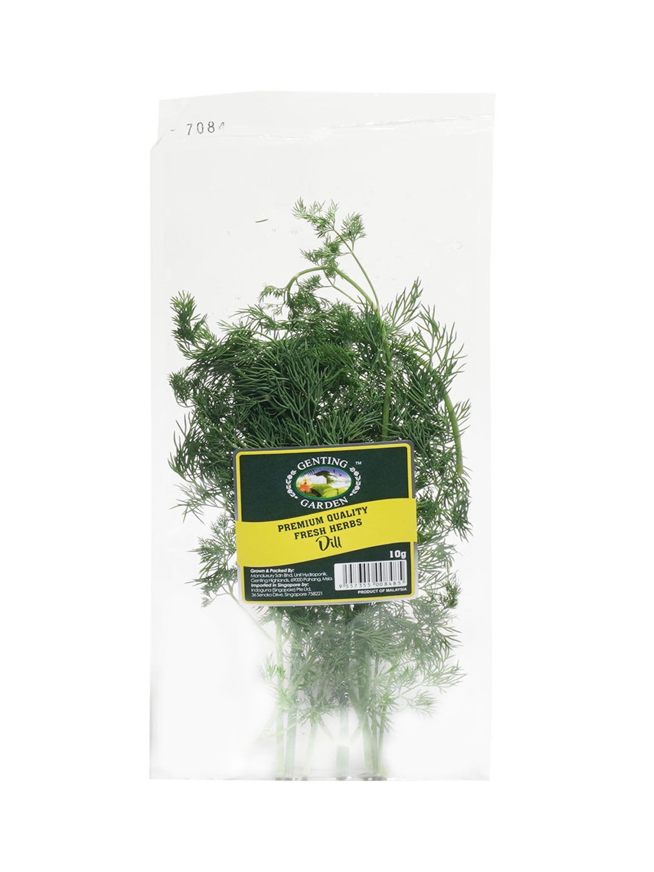 DILL 10G GG HERBS