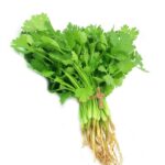 CORIANDER (DAUN KETUMBAR) +/-150G