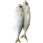 IKAN KEMBONG L (+/-500G)